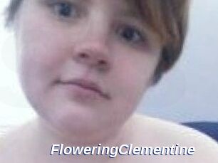 FloweringClementine