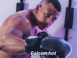 Falcon_hot