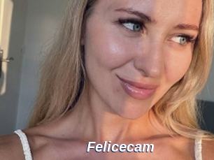 Felicecam