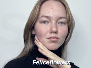 Feliceflowers