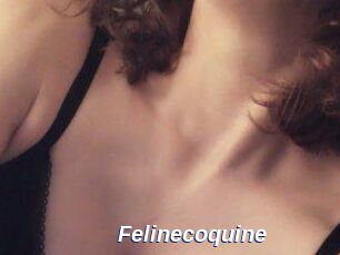 Felinecoquine