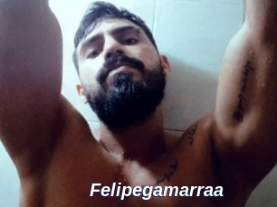 Felipegamarraa