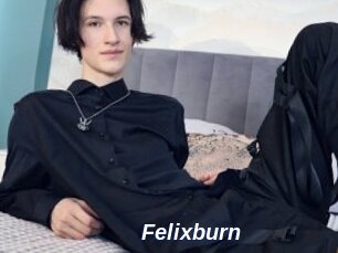 Felixburn