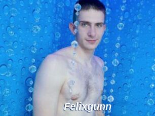 Felixgunn