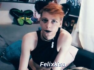 Felixkisa