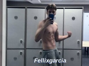 Fellixgarcia