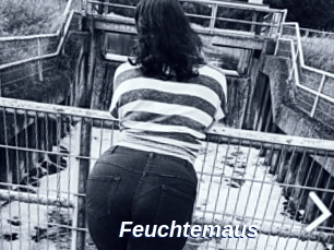 Feuchtemaus