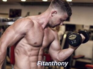 Fitanthony