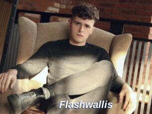 Flashwallis