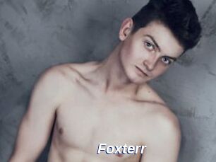 Foxterr