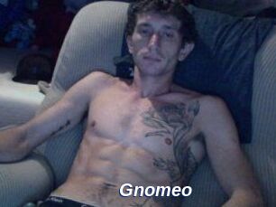 Gnomeo