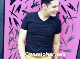 GonzaloNarvaes