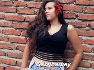 Gabyharvey