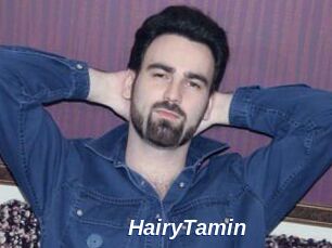 HairyTamin