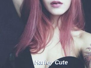 Harley_Cute