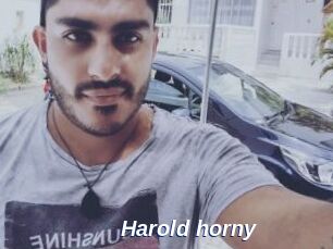 Harold_horny