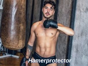 Hamerprotector