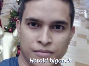 Harold_bigcock