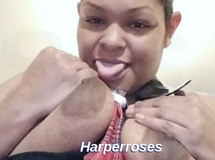 Harperroses