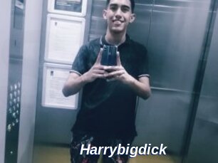 Harrybigdick