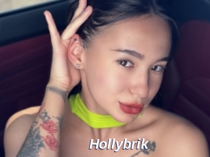 Hollybrik