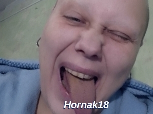 Hornak18