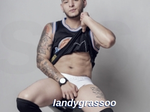 Iandygrassoo