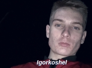 Igorkoshel