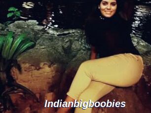 Indianbigboobies