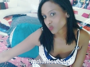 Indianlovebug