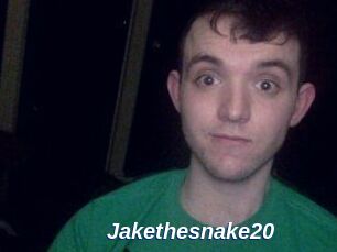 Jakethesnake20