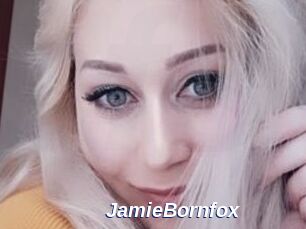 JamieBornfox