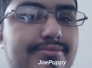 JoePuppy