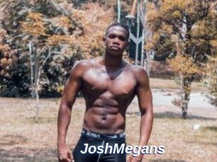 JoshMegans