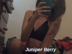 Juniper_Berry