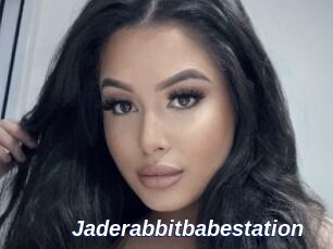 Jaderabbitbabestation