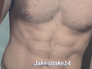 Jakesnake14