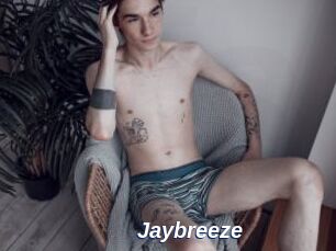 Jaybreeze