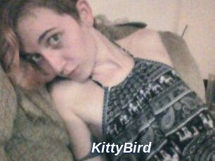 KittyBird