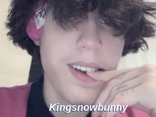 Kingsnowbunny