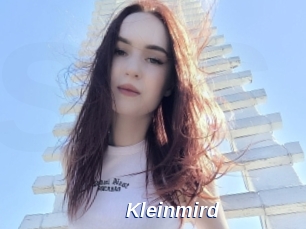 Kleinmird