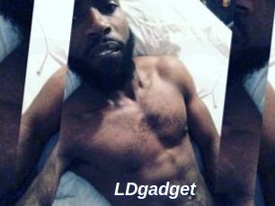 LDgadget