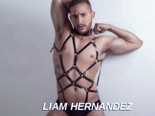 LIAM_HERNANDEZ