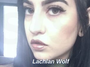 Lachlan_Wolf