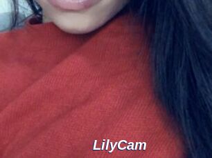 LilyCam