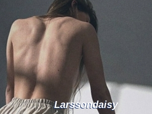 Larssondaisy