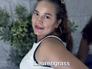 Laurengrass