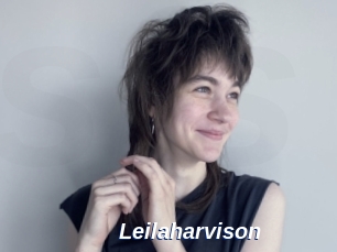 Leilaharvison