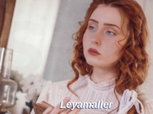 Leyamaller