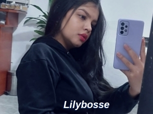 Lilybosse